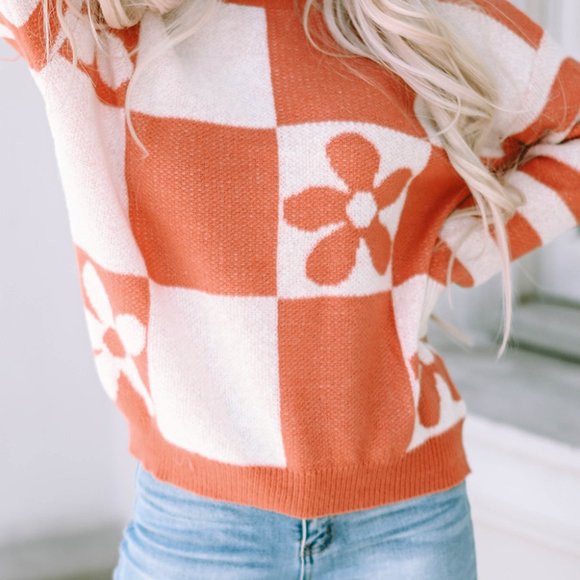 Brown Checkered Floral Print Striped Sleeve Sweater - Picture 5 of 8